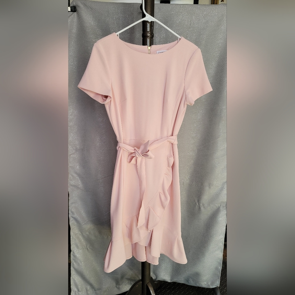 Calvin Klein Dress 6